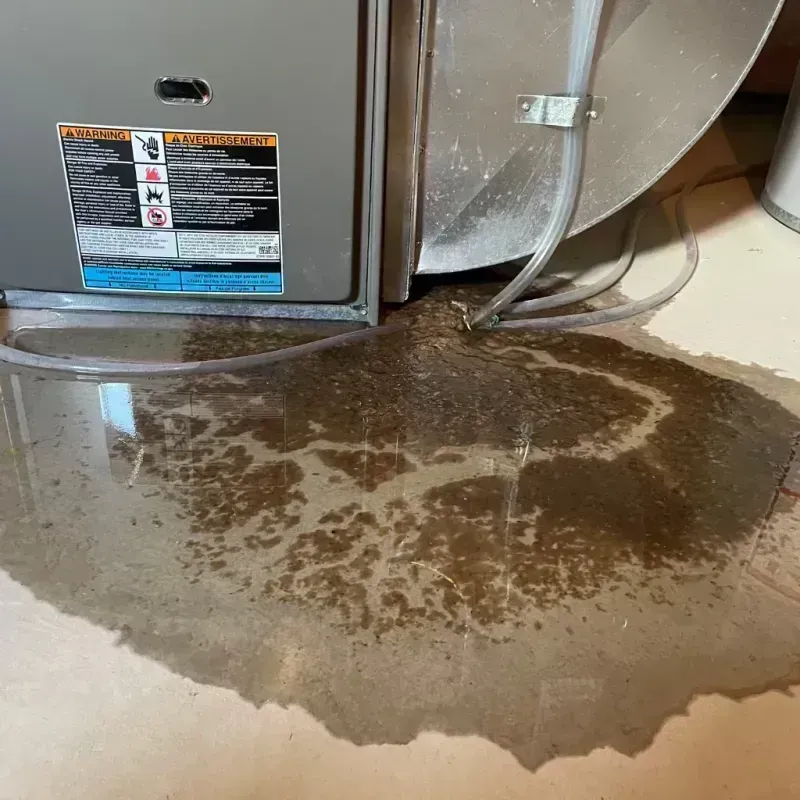 Appliance Leak Cleanup in Matteson, IL